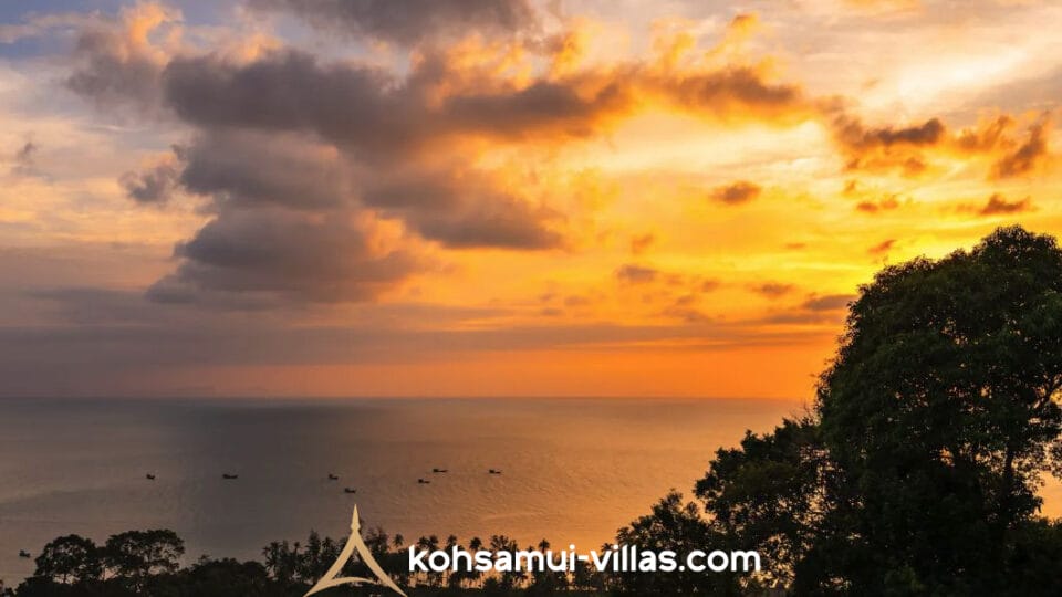 lipa noi (17)